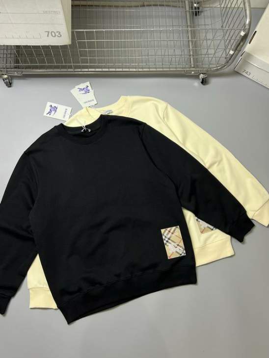 Picture of Burberry Sweatshirt _SKUBurberryS-XLxetr24931070